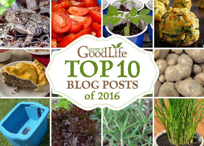 Here is some of the best content from Grow a Good Life over this past year. These are the top 10 gardening and simple living posts that you have viewed, pinned, and shared during 2016. Here is some of the best content from Grow a Good Life over this past year. These are the top 10 gardening and simple living posts that you have viewed, pinned, and shared during 2016.